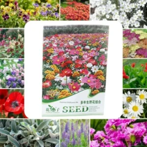 Flowering Mixed Perennial Wildflower Seeds