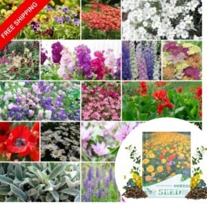 Flowering Mixed Perennial Wildflower Seeds
